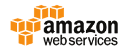 AWS üreticisi resmi